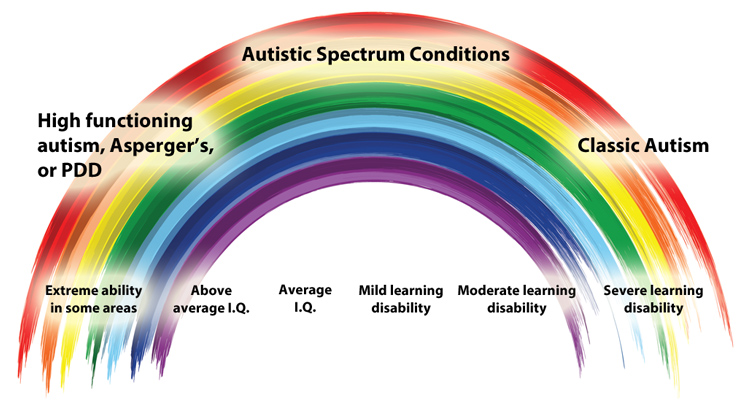 autism spectrum test wheel